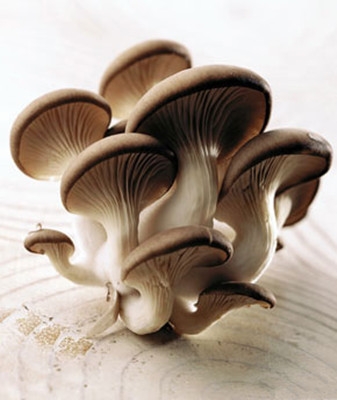 白癜风患者食用菌菇的作用