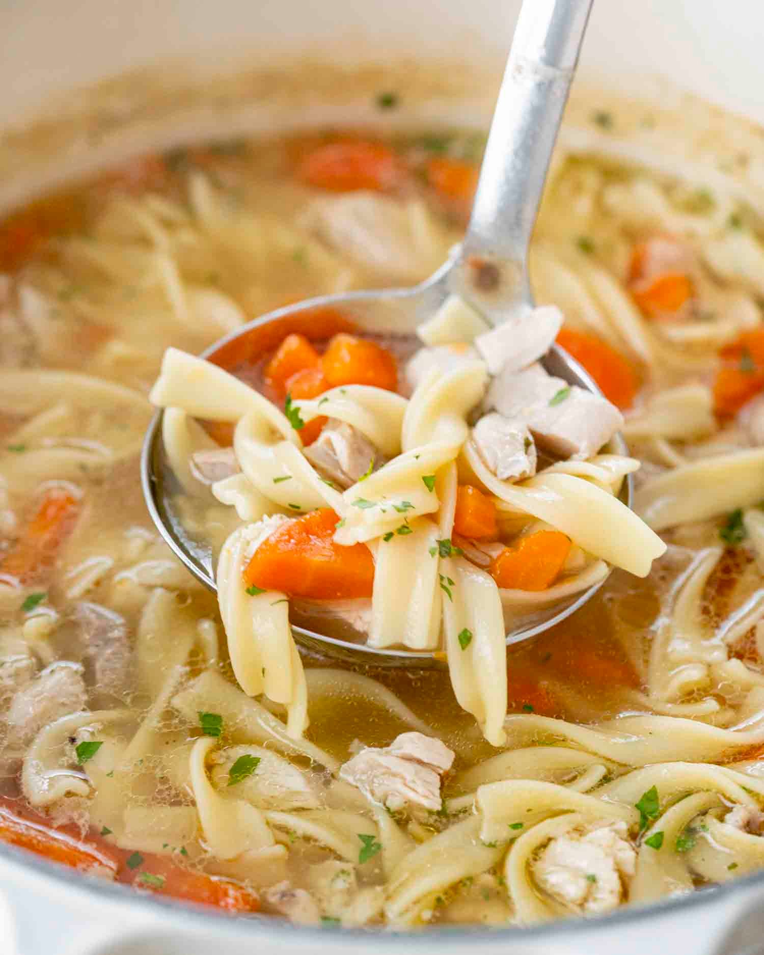 freshly made turkey noodle soup in a dutch oven.